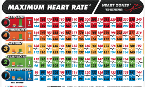 Max Heart Rate Training Max Heart Rate Training